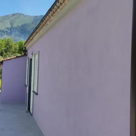 Lilly Villa